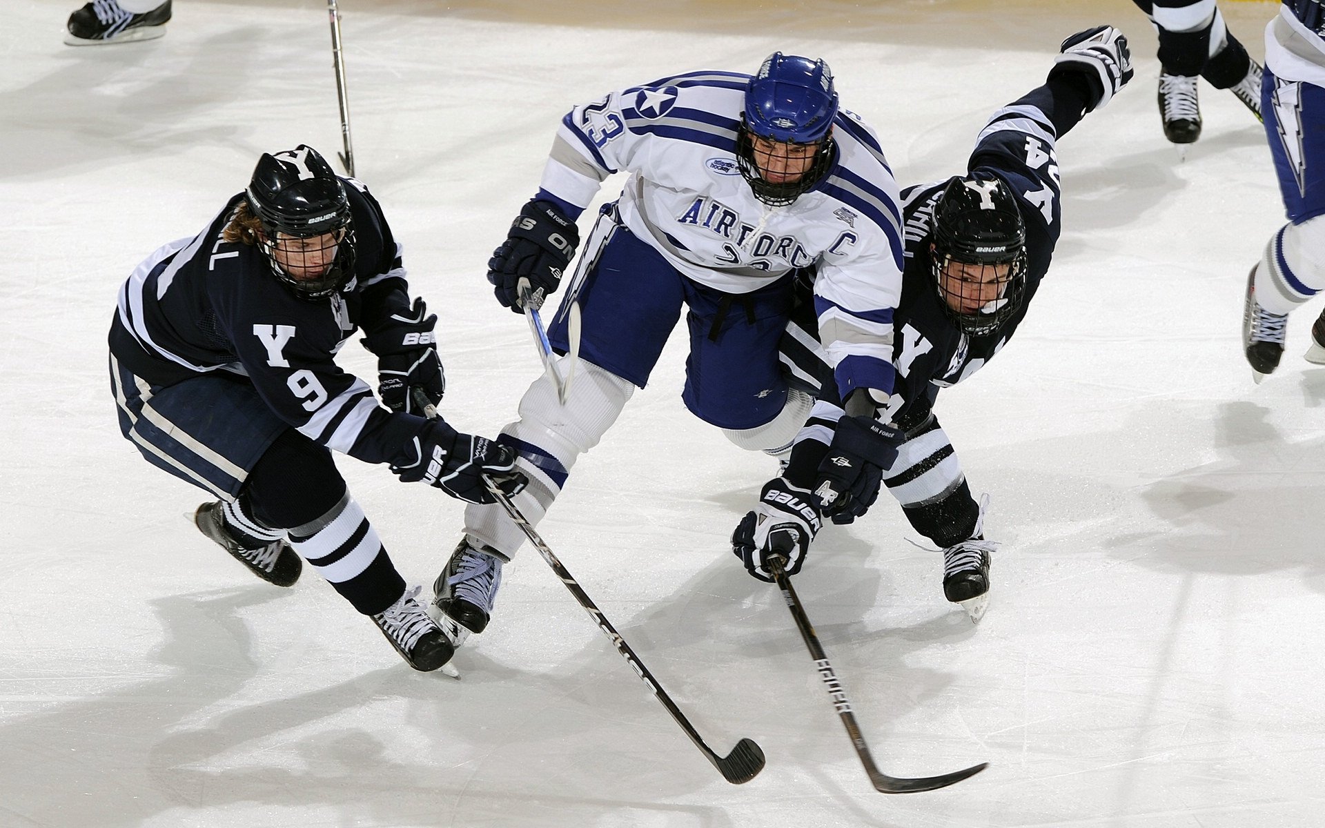 普劳德:节奏与反应决定胜负,普劳特假说