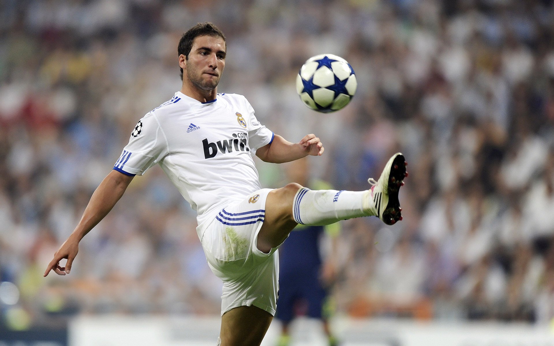 未来“智能青训”成为行业新风向，行业迈入智慧发展新阶段