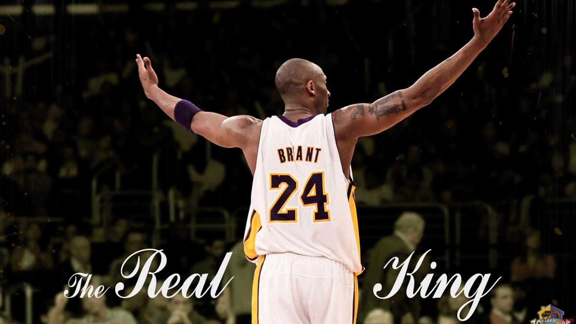 开云电竞登录-青少年篮球“青春新势力”系列赛在兰州震撼开战，兰州青少年篮球发展联盟